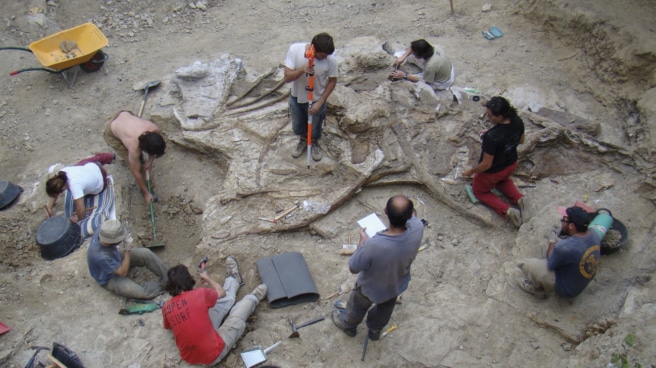 Los paleontólogos que trabajan en el Grupo de Biología Evolutiva de la UNED en excavaciones en han hallado restos de un nuevo dinosaurio gigante, el Garumbatitan morellensis, un saurópodo que habitó en el Cretácico Inferior en la comarca castellonense de Els Ports, hace 122 millones de años.