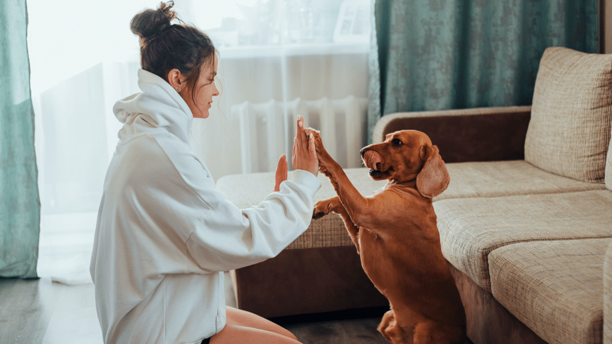 Dueña con su perro tras la aprobación y entrada en vigor de la ley de bienestar animal que afecta a perros y otros animales