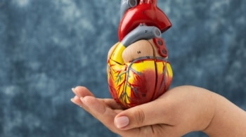 ¿Cuántos órganos tenemos en nuestro cuerpo? 
