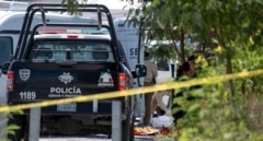 Hallan seis cadáveres y a un joven vivo en la zona donde buscaban a siete adolescentes secuestrados en México