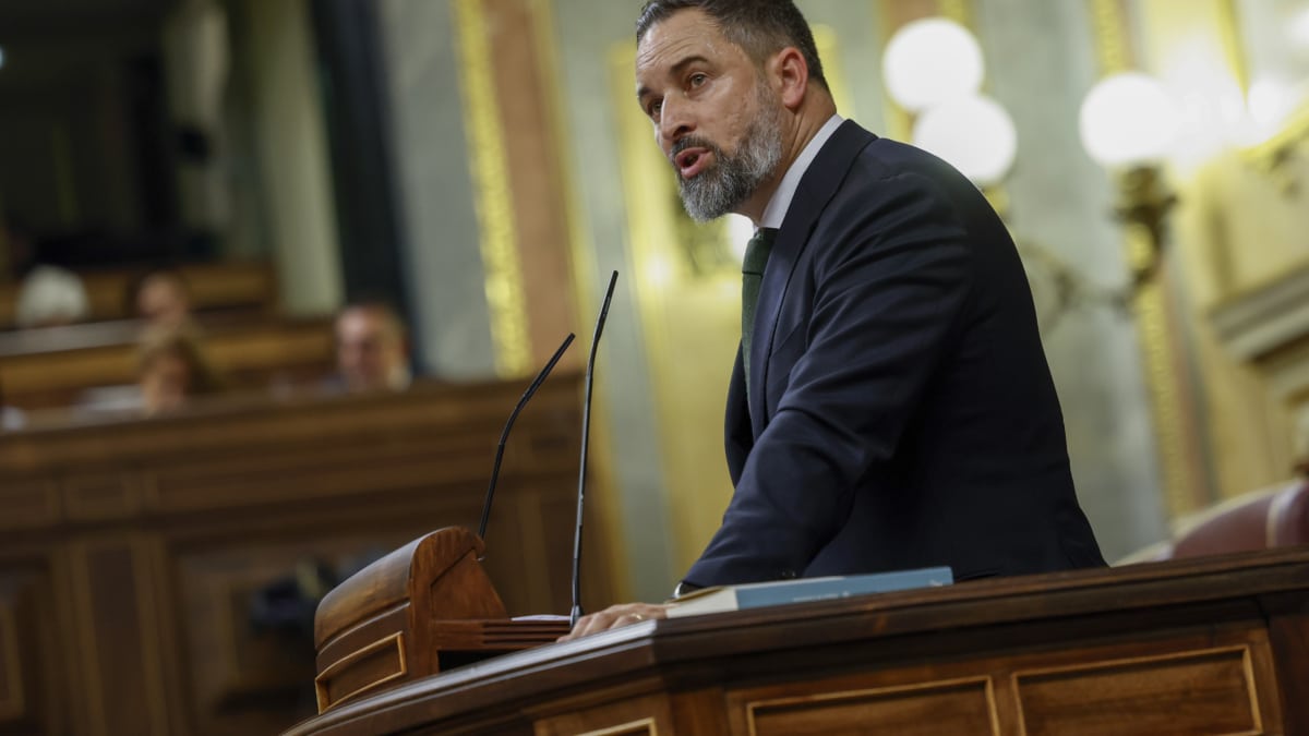 Abascal responsabiliza al propio Feijóo del fracaso de su investidura: "Llamó al voto útil para no depender de Vox"