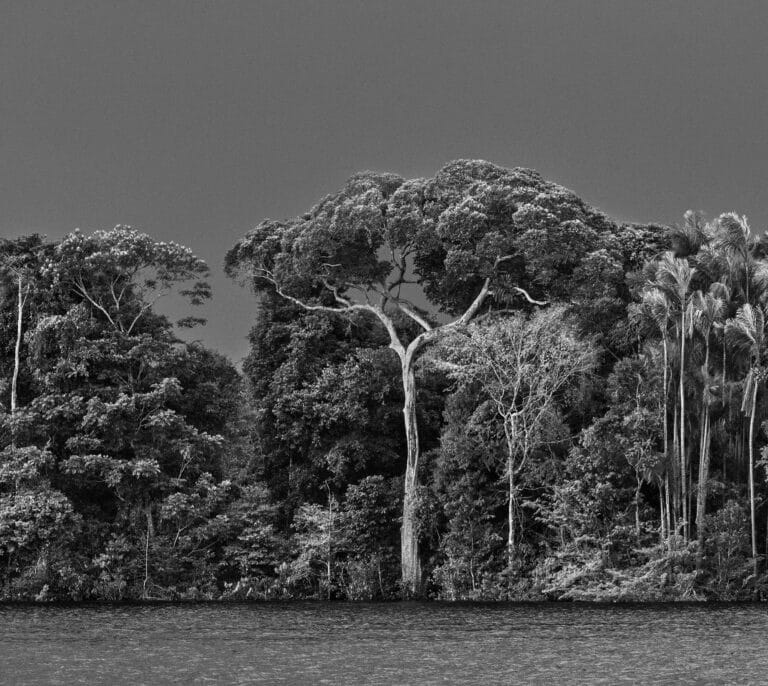 'Amazônia', el gran proyecto fotográfico de Sebastião Salgado toma Madrid