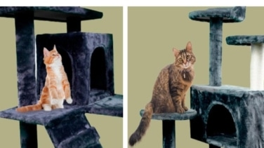 Este rascador árbol se convertirá en el entretenimiento favorito de tu gato: ¡aprovecha ahora que tiene un 31% de descuento!