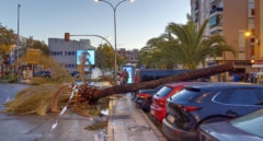 Segundo fallecido por la borrasca Bernard que ha dejado más de 2.000 incidencias en Andalucía