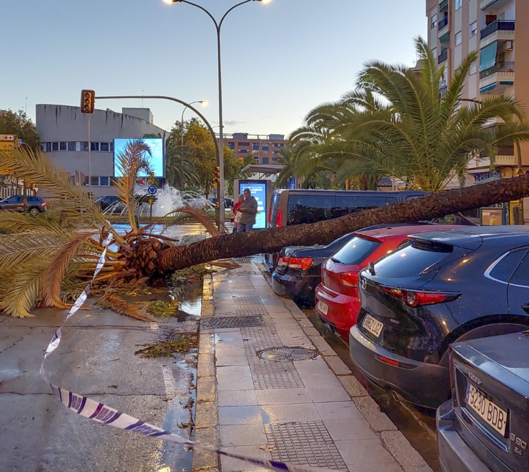 Segundo fallecido por la borrasca Bernard que ha dejado más de 2.000 incidencias en Andalucía