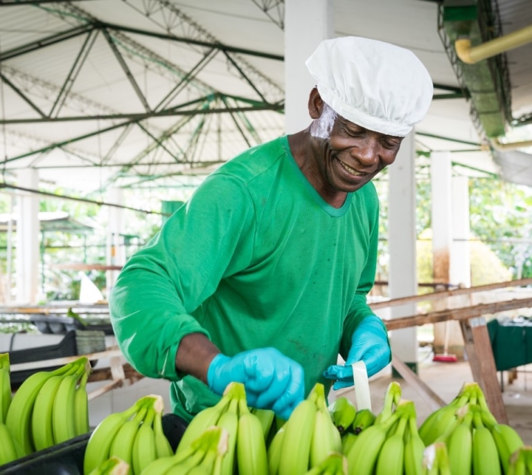 Banano colombiano, el triunfo sindicalista que quiere conquistar el mercado europeo