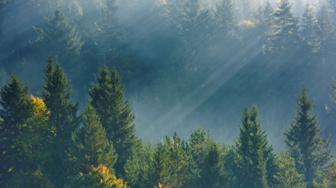 Bank of Climate lanza una nueva línea de negocio enfocada al asesoramiento de empresas para su descarbonización Bank of Climate lanza una nueva línea de negocio enfocada al asesoramiento de empresas para su descarbonización