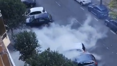 Batalla campal entre ultras del Alavés y el Betis: un detenido y varios heridos en Vitoria