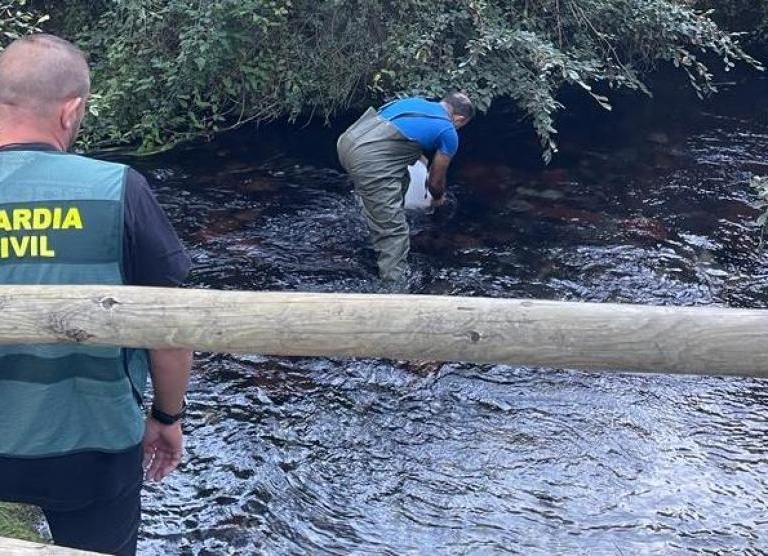 El origen del brote de gastroenteritis de Tarazona proviene del agua del río Queiles, en Soria