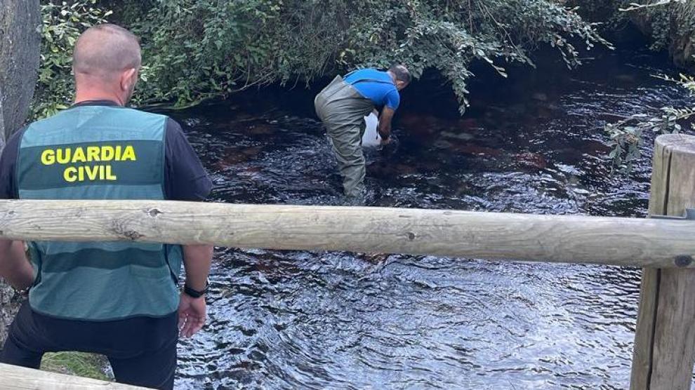 Toma de muestras la semana pasada en uno de los tramos de la cabecera del río Queiles