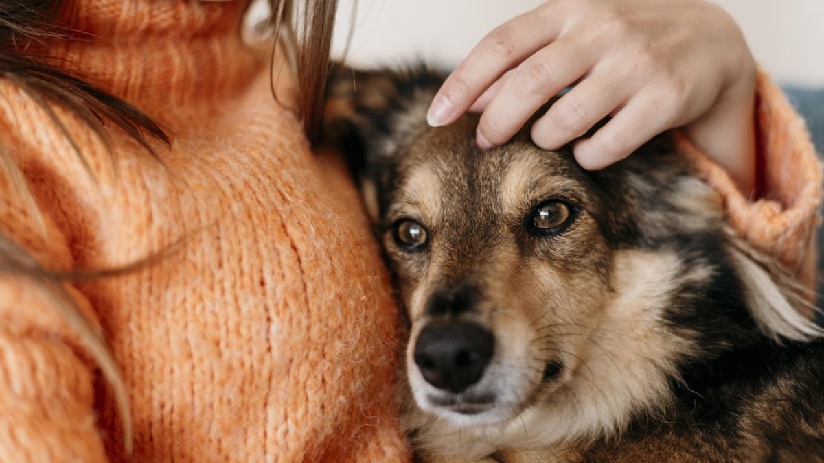 Una mujer acaricia a su perro