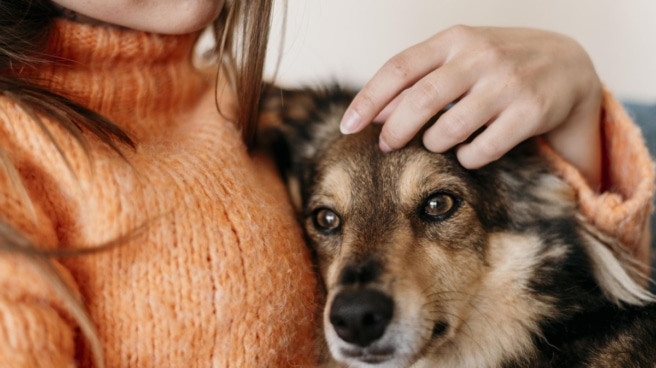 Crece el interés por el cuidado de la microbiota intestinal de perros y gatos y las consultas veterinarias online Una mujer acaricia a su perro