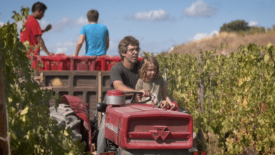 La rebelión de los pequeños viticultores contra el Goliat de la industria