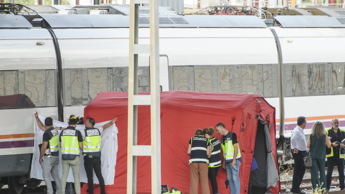 El cadáver encontrado este lunes entre dos vagones en las inmediaciones de la estación de Santa Justa de Sevilla, que todo apunta a que corresponde al joven Álvaro Prieto, desaparecido el jueves, ha sido levantado sobre las 15.30 horas por orden de la comisión judicial enviada por el Juzgado que lleva el caso.