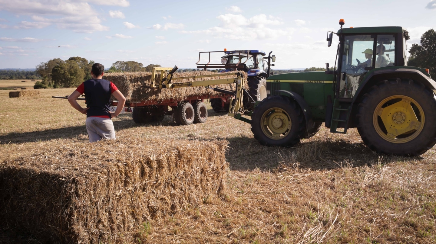 Un tractor durante la recogida de trigo en, Galicia (España)