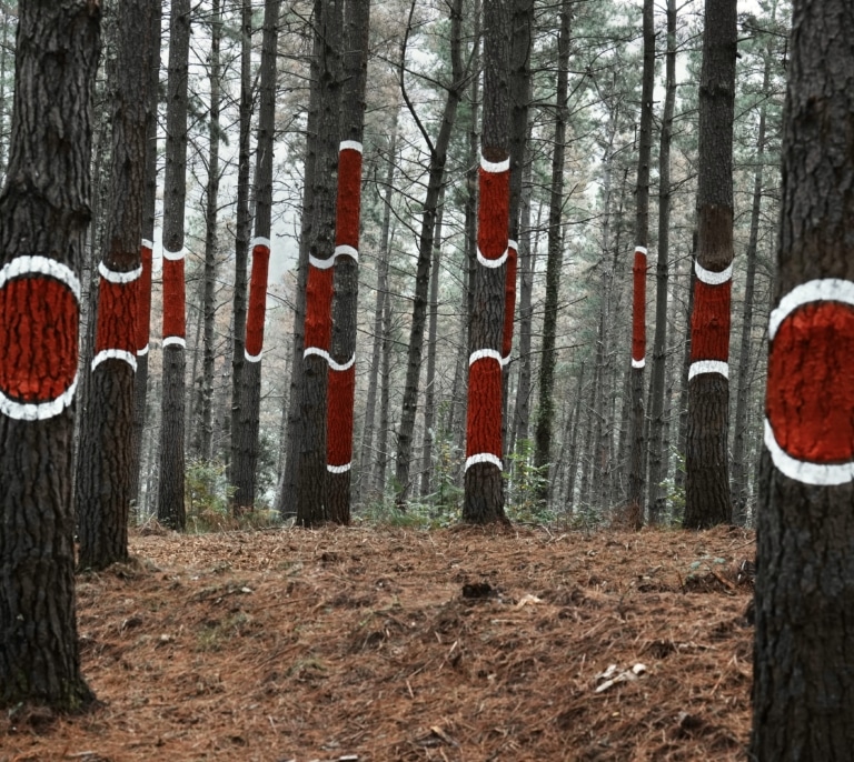 'Bosque de Oma', la segunda vida de formas y color de Ibarrola