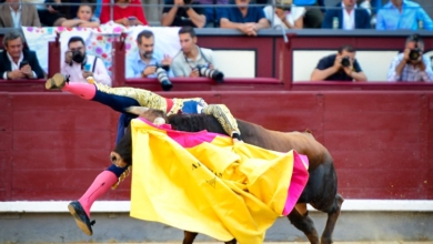 Herido grave el novillero Álvaro Serrano por una cornada en Las Ventas