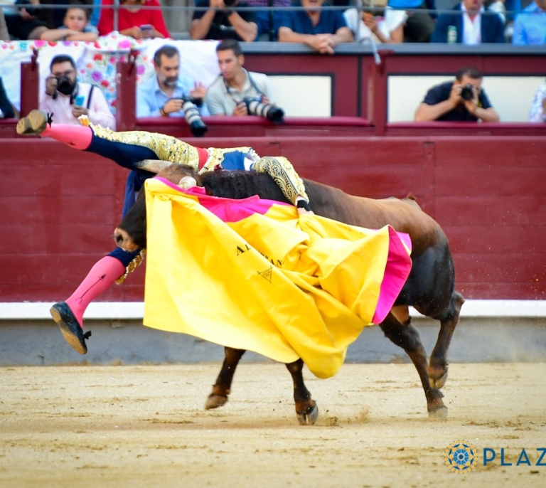 Herido grave el novillero Álvaro Serrano por una cornada en Las Ventas