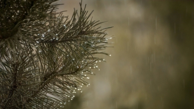 ¿Qué es un río atmosférico? Precipitaciones en la Península