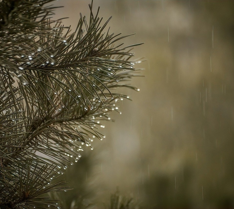 ¿Qué es un río atmosférico? Precipitaciones en la Península