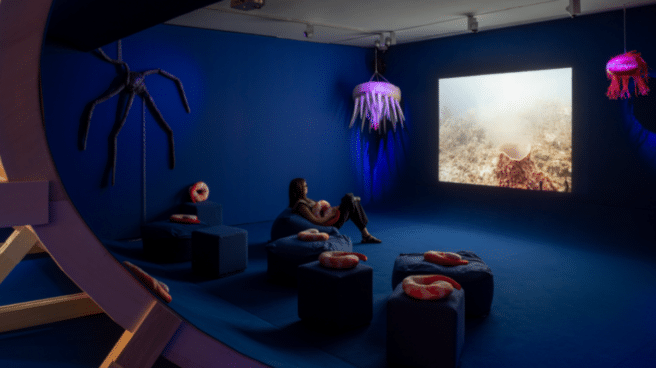 Instalación 'Ziggy and the Starfish' (2016-2022), de Anne Duk Hee Jordan. Instalación 'Ziggy and the Starfish' (2016-2022), de Anne Duk Hee Jordan.