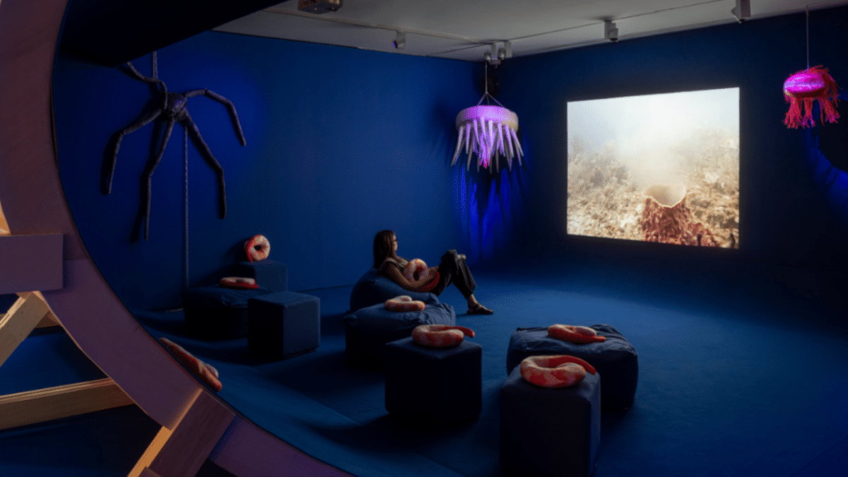 Instalación 'Ziggy and the Starfish' (2016-2022), de Anne Duk Hee Jordan.