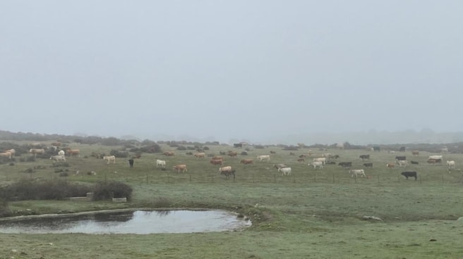 lluvias-otono-agricultura lluvias-otono-ganaderia-agricultores