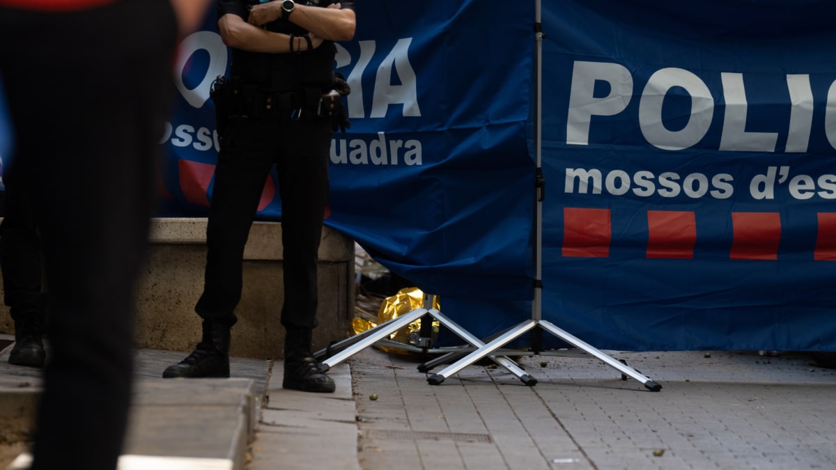 Bomberos y Mossos d'Esquadra acuden al Raval de Barcelona donde ha caído una palmera a una mujer, a 3 de agosto de 2023