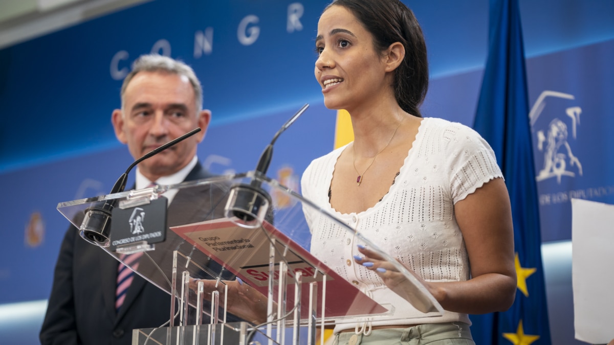 El portavoz de Izquierda Unida en el Congreso y diputado de Sumar, Enrique Santiago, y la diputada de Sumar Tesh Sidi ofrecen una rueda de prensa en el Congreso de los Diputados