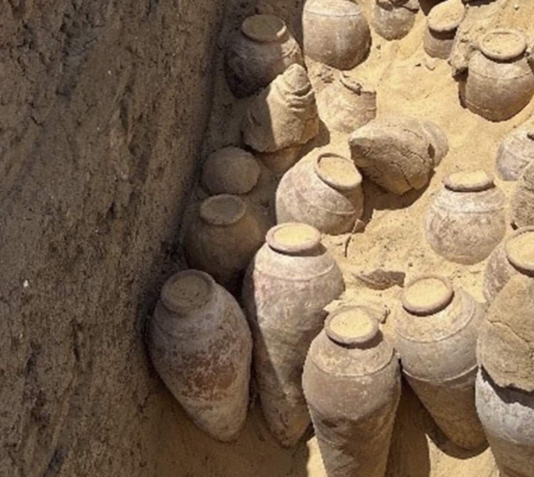 La 'faraona' que se enterró hace cinco milenios con cientos de tinajas de vino