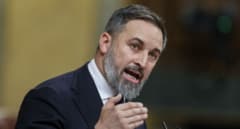 Abascal dice en Estrasburgo que no ha encontrado "voluntad" en el PP para coordinarse contra la amnistía
