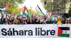 Sáhara Occidental: Sumar y la aceptación del olvido