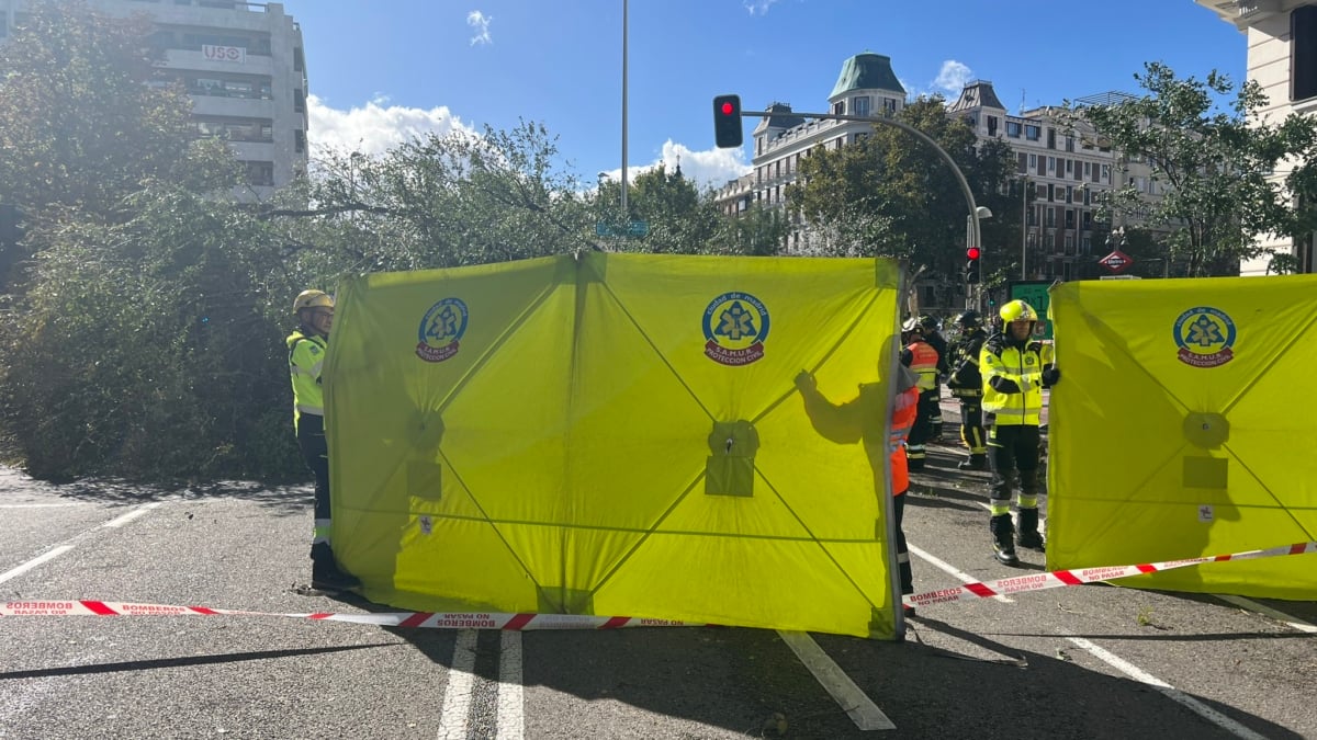 Lugar del fallecimiento de una mujer en Madrid tras caída de un árbol