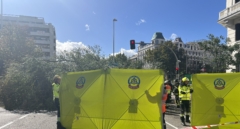 Muere una joven en Madrid tras caerle un árbol de dos toneladas por el fuerte viento