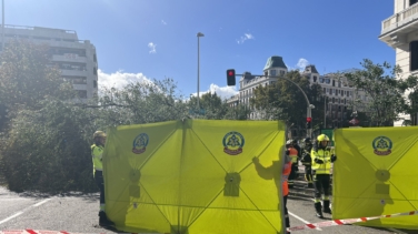 Muere una joven en Madrid tras caerle un árbol de dos toneladas por el fuerte viento