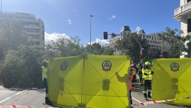 Muere una joven en Madrid tras caerle un árbol de dos toneladas por el fuerte viento