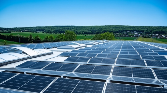 Planta solar. Planta solar.