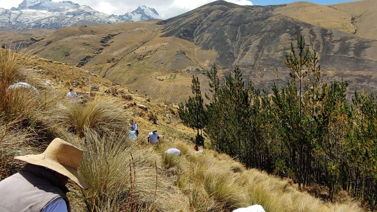 CO2 Revolution cumple su objetivo de internacionalización en Latinoamérica durante la COP28