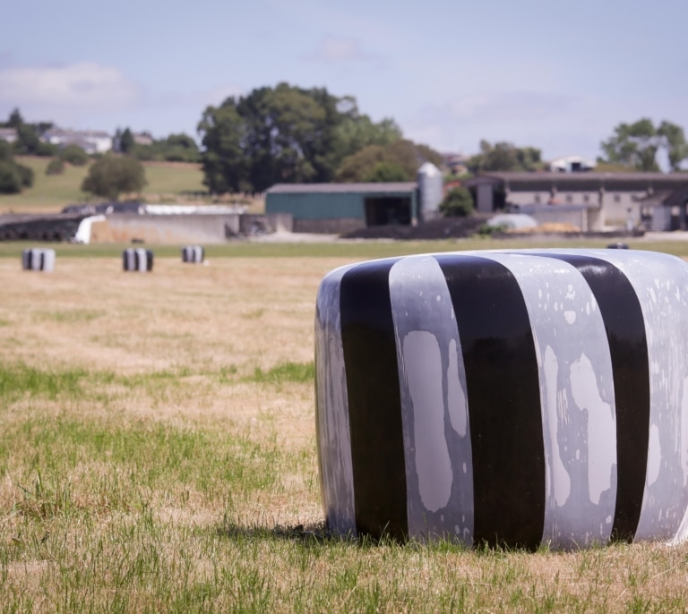 Glifosato, el herbicida de la discordia y líder mundial, pendiente de la decisión de Europa