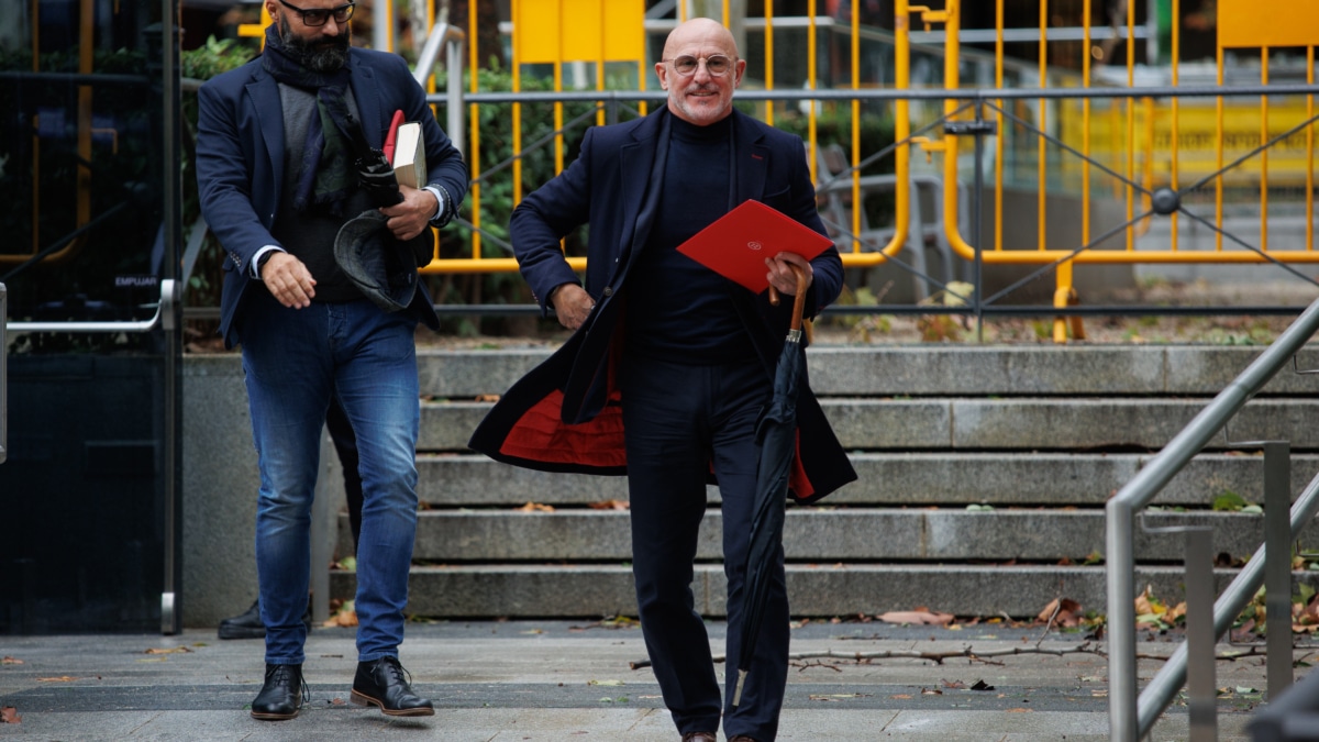 Luis de la Fuente en la Audiencia Nacional este jueves