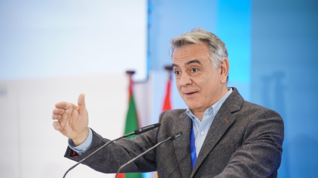 EuropaPress_5554399_nuevo_presidente_pp_vasco_javier_andres_interviene_congreso_territorial