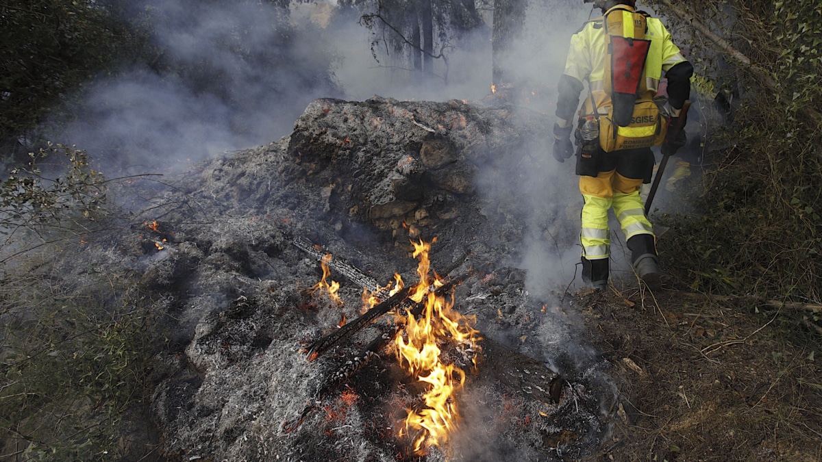 El incendio forestal iniciado el jueves en Montitxelvo (Valencia) encara su tercer día activo y todavía sin control, tras una noche en la que el viento ha amainado a rachas de 20 kilómetros por hora pero esta mañana vuelve a soplar con rachas de 60 kilómetros por hora y de componente oeste.