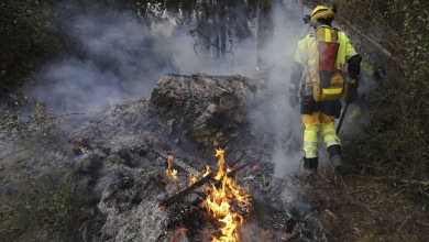La Guardia Civil investiga que el factor humano sea la causa del incendio de Montitxelvo