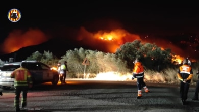 Un incendio forestal agravado por el fuerte viento obliga a desalojar a 350 personas en Valencia