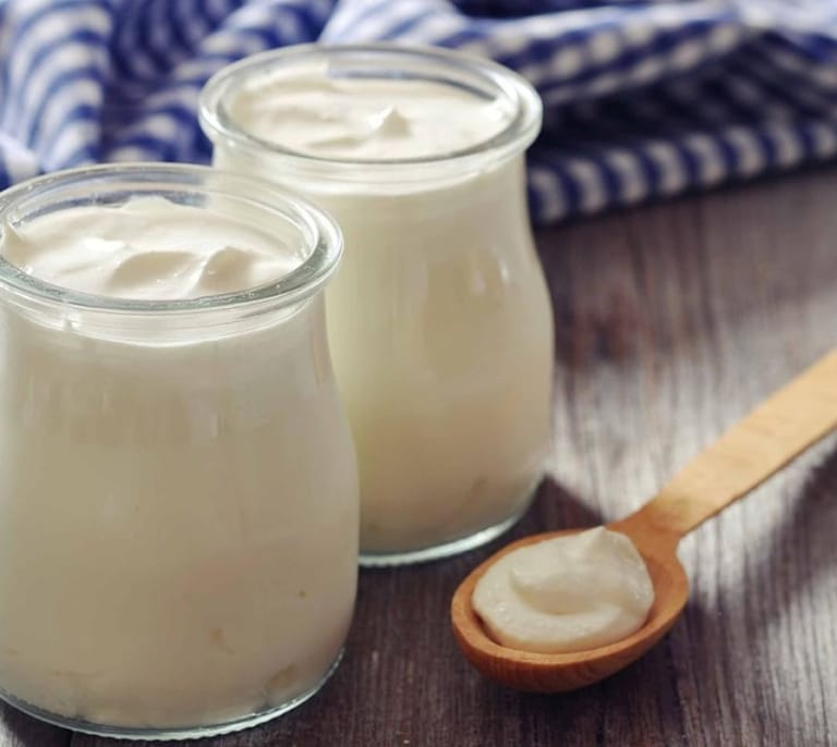 Las 10 mejores yogurteras del 2024 de gran capacidad