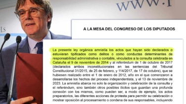 Consulte la proposición de ley orgánica de amnistía