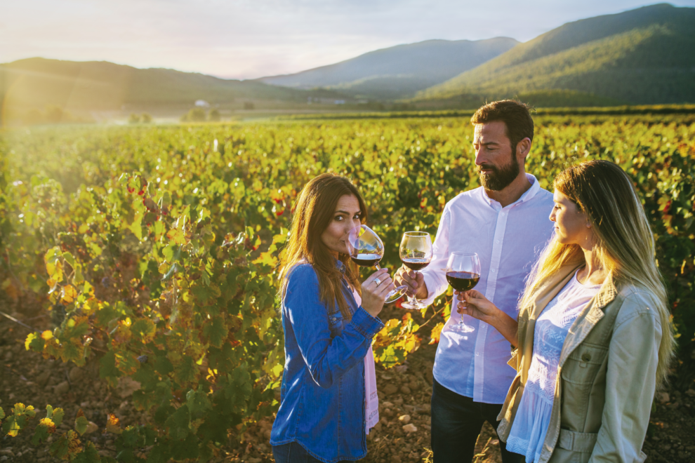 En torno a la localidad de Bullas, en el noroeste de la región, existe una floreciente comarca vinícola con denominación de origen propia.