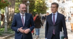El PPE apela a la protesta en las calles para exigir a la Comisión Europea que "investigue" la amnistía