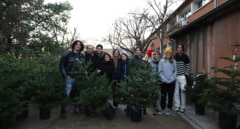 Los beneficios de los árboles de Navidad naturales: "Algunos ecologistas los criticaron de manera infantil"