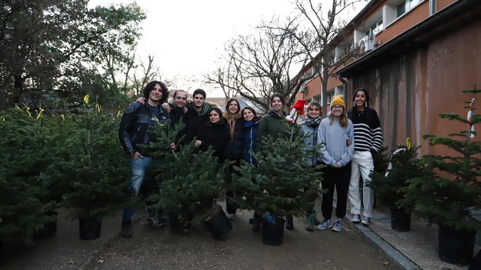Students from the Higher Technical Schools of Forestry Engineers, Agronomists and the University School of Forestry of Madrid sell natural spruce trees.